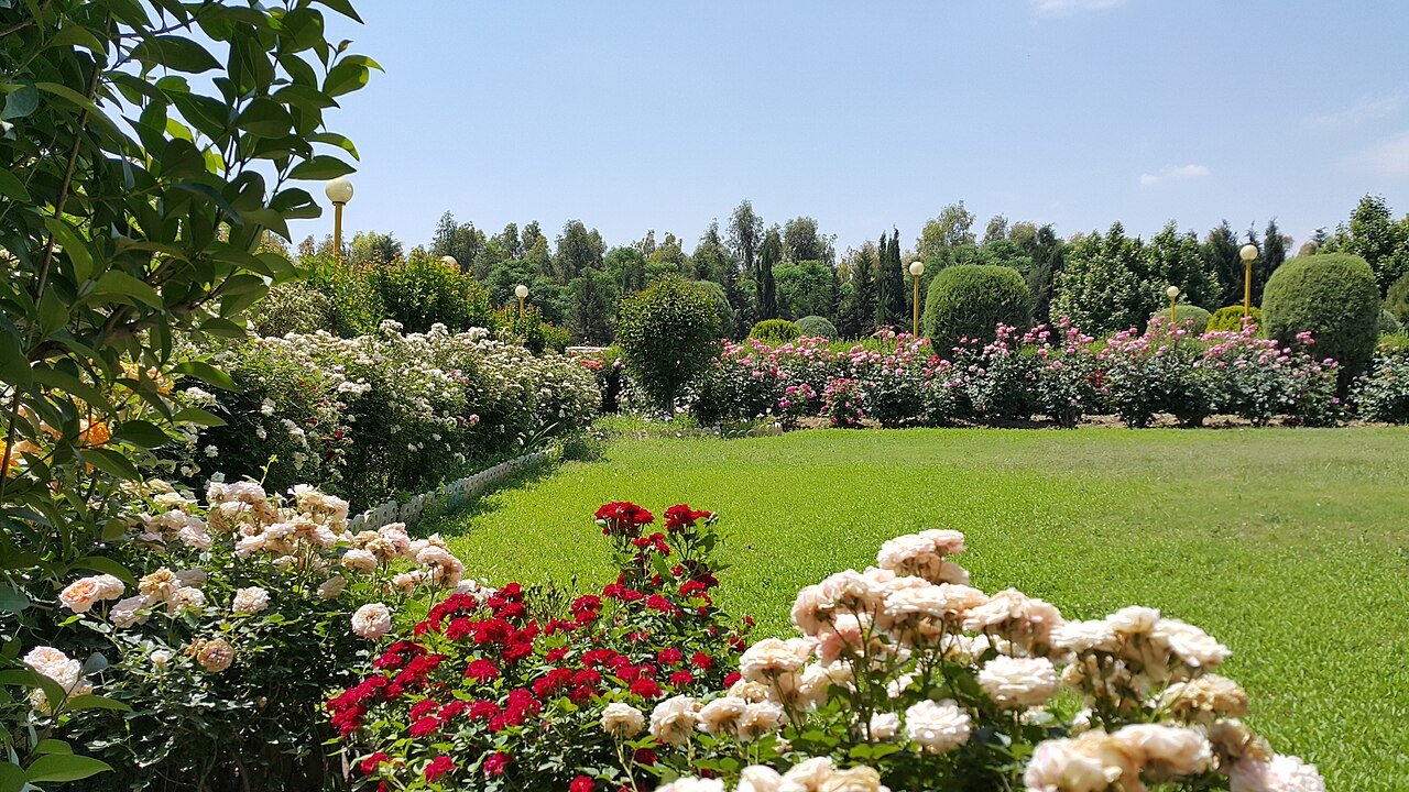 حديقة شانەدەر